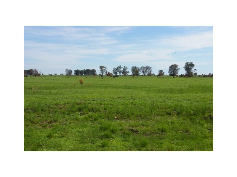 0 Texas-Yelarbon Road, Beebo QLD 4385