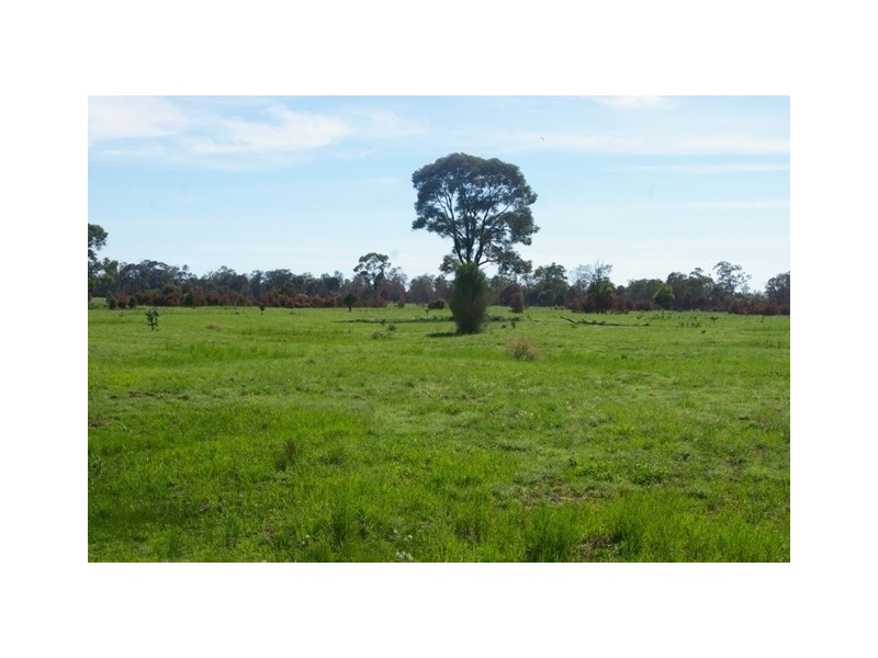 0 Texas-Yelarbon Road, Beebo QLD 4385