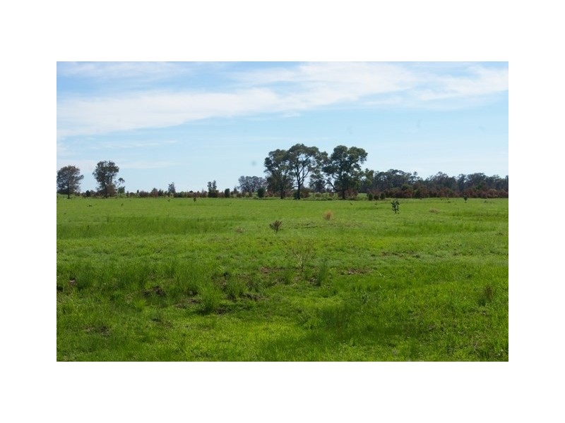 0 Texas-Yelarbon Road, Beebo QLD 4385