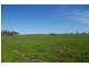 0 Texas-Yelarbon Road, Beebo QLD 4385