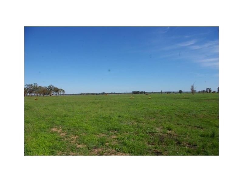 0 Texas-Yelarbon Road, Beebo QLD 4385