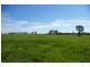 0 Texas-Yelarbon Road, Beebo QLD 4385