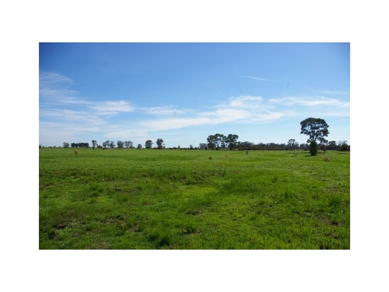 0 Texas-Yelarbon Road, Beebo QLD 4385