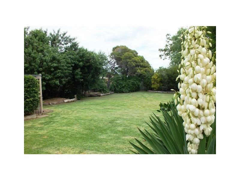 29 Albert Street, Goondiwindi QLD 4390