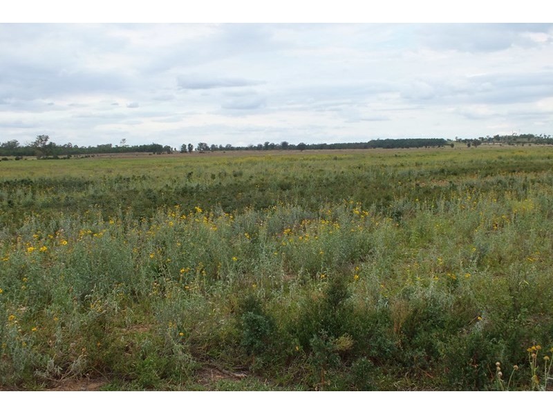 0 Cunningham Highway, Goondiwindi QLD 4390