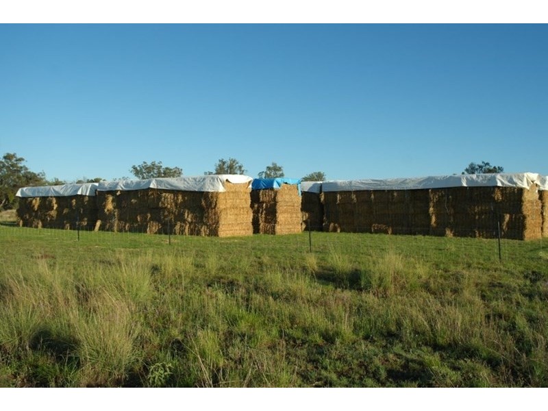 0 Cunningham Highway, Goondiwindi QLD 4390