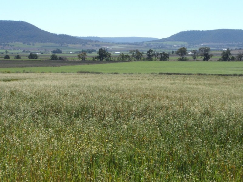 1 Nolans Road, Warwick QLD 4370