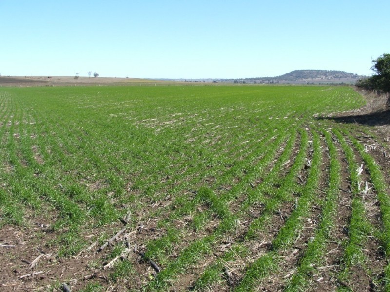 1 Nolans Road, Warwick QLD 4370