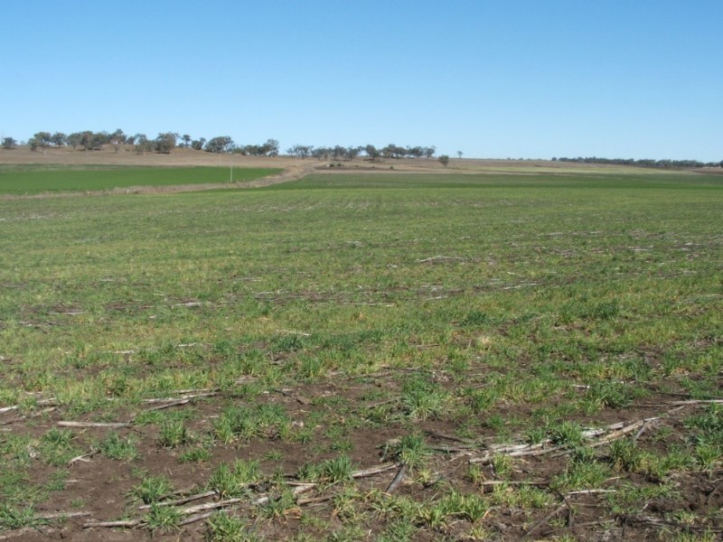 1 Nolans Road, Warwick QLD 4370