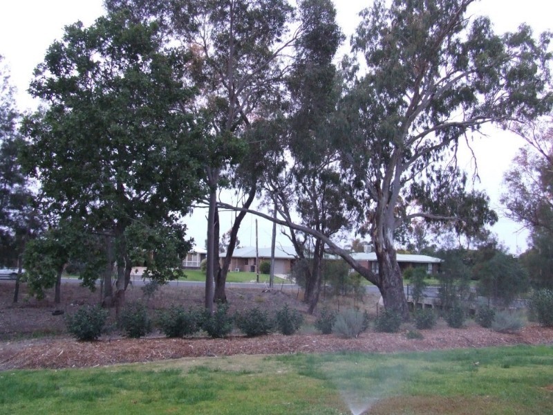 Goondiwindi QLD 4390