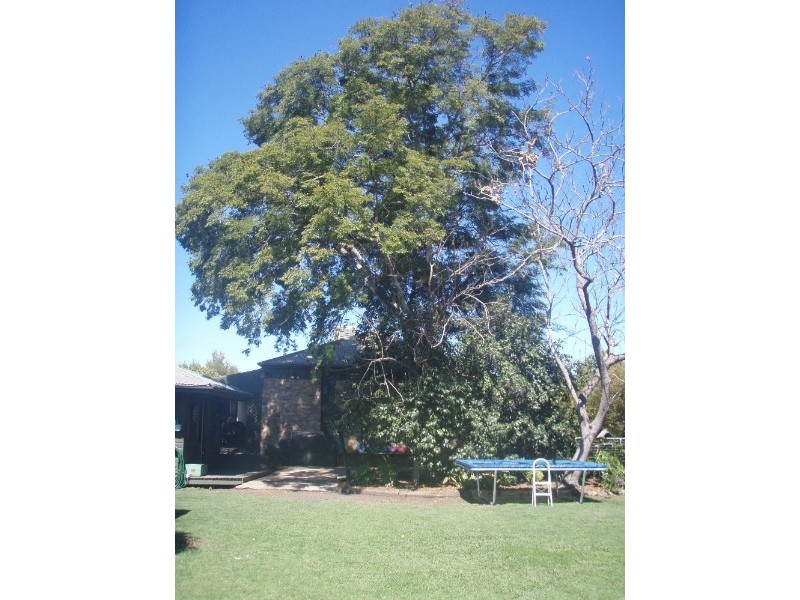 Goondiwindi QLD 4390