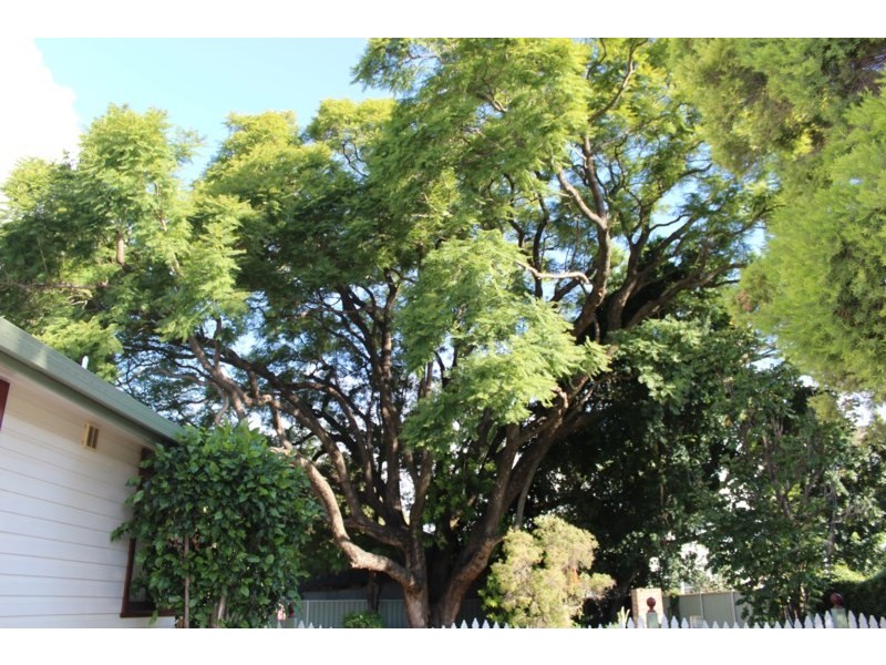 48 Winton, Goondiwindi QLD 4390