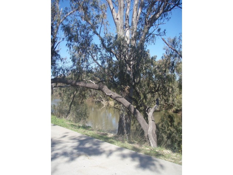 Goondiwindi QLD 4390