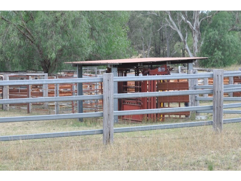 534 Uandi Road, Inglewood QLD 4387