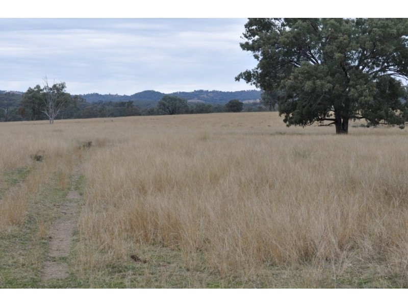 534 Uandi Road, Inglewood QLD 4387