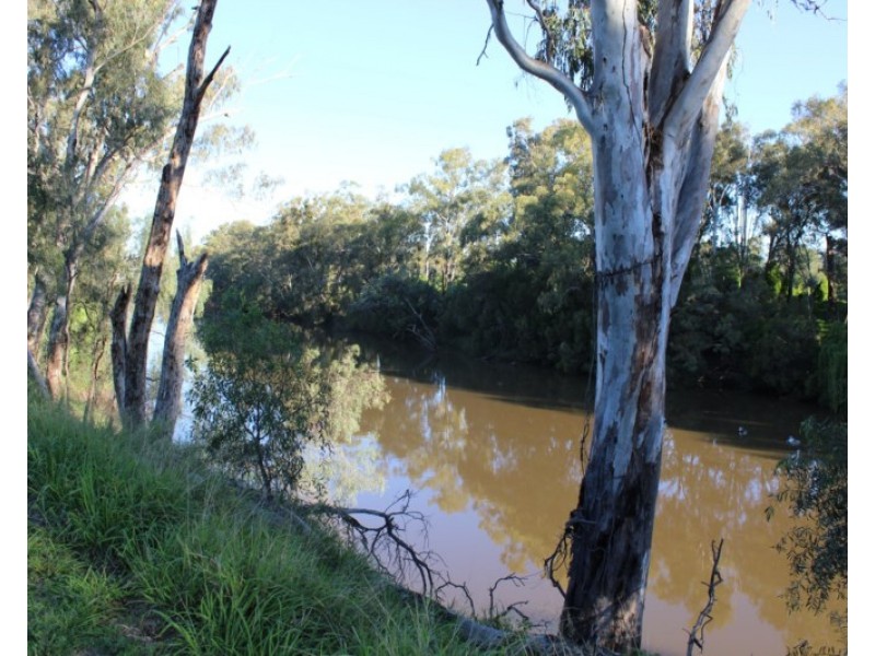 4/5 MacIntyre, Goondiwindi QLD 4390