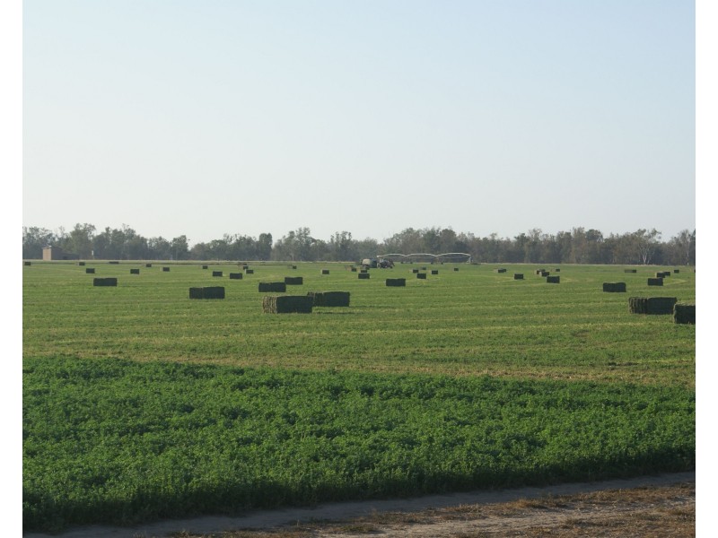 3023 Texas Yelarbon Road, Goondiwindi QLD 4390