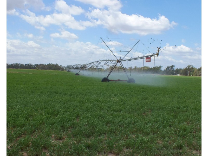 3023 Texas Yelarbon Road, Goondiwindi QLD 4390