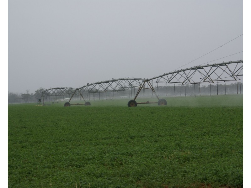 3023 Texas Yelarbon Road, Goondiwindi QLD 4390