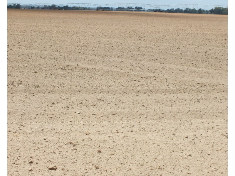 3023 Texas Yelarbon Road, Goondiwindi QLD 4390