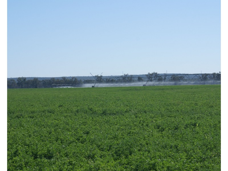 3023 Texas Yelarbon Road, Goondiwindi QLD 4390