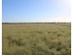 32589 Cunningham Highway, Goondiwindi QLD 4390