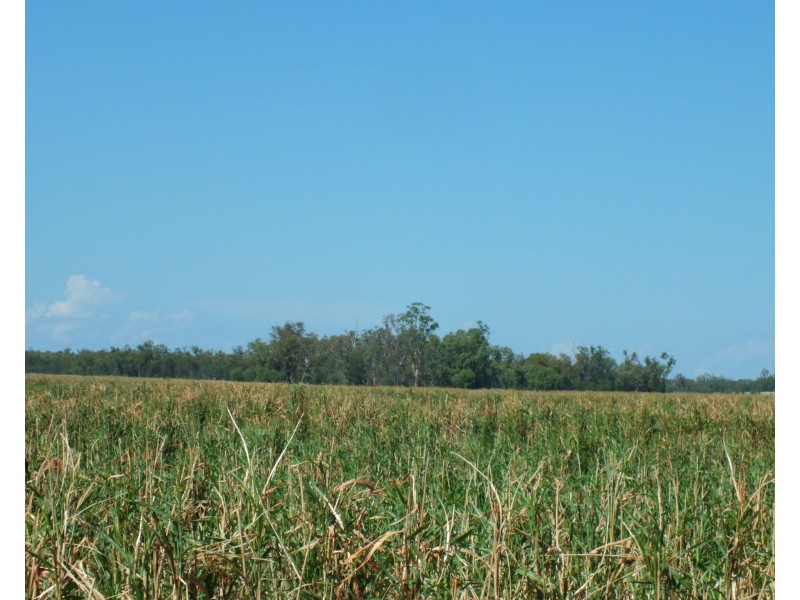 1 Minnell, Goondiwindi QLD 4390