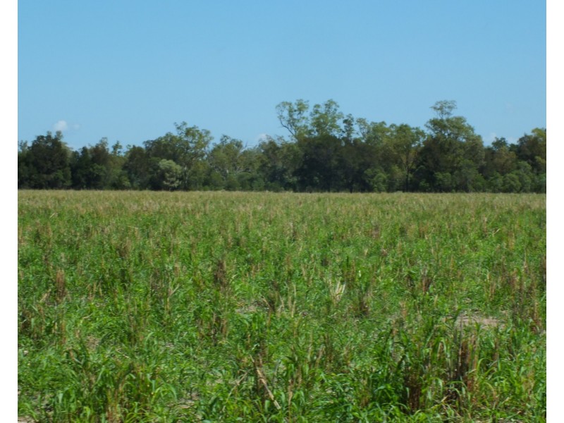 1 Minnell, Goondiwindi QLD 4390