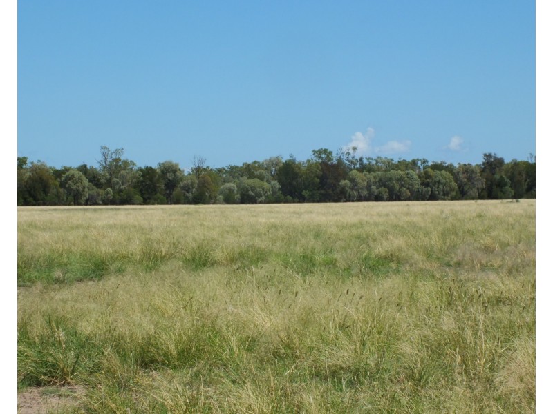 1 Minnell, Goondiwindi QLD 4390