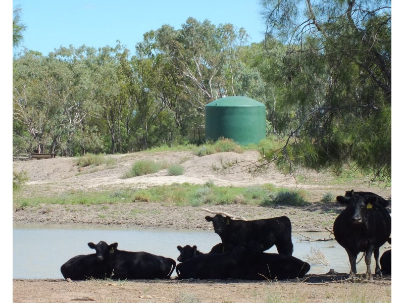 1 Minnell, Goondiwindi QLD 4390
