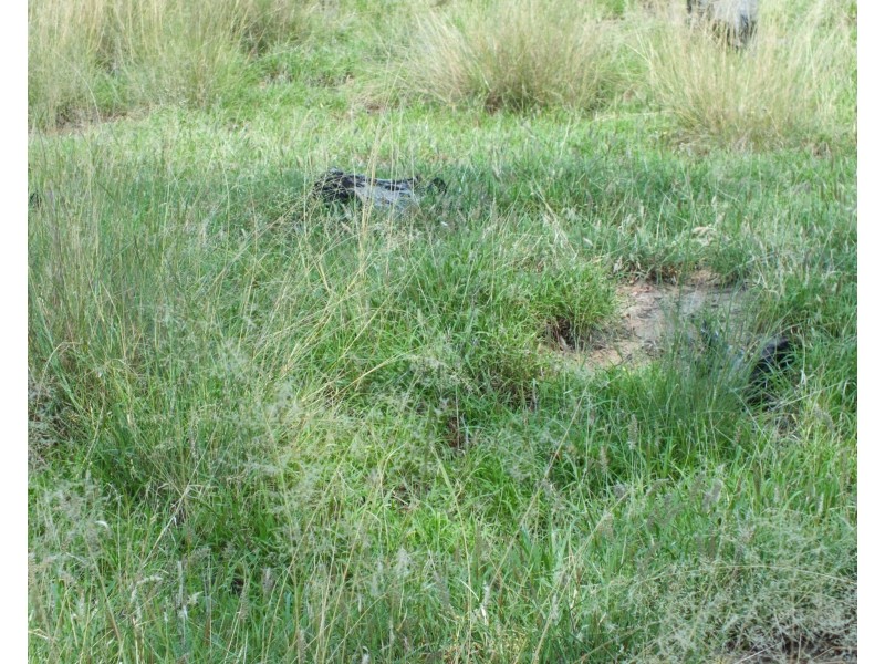 1 Minnell, Goondiwindi QLD 4390