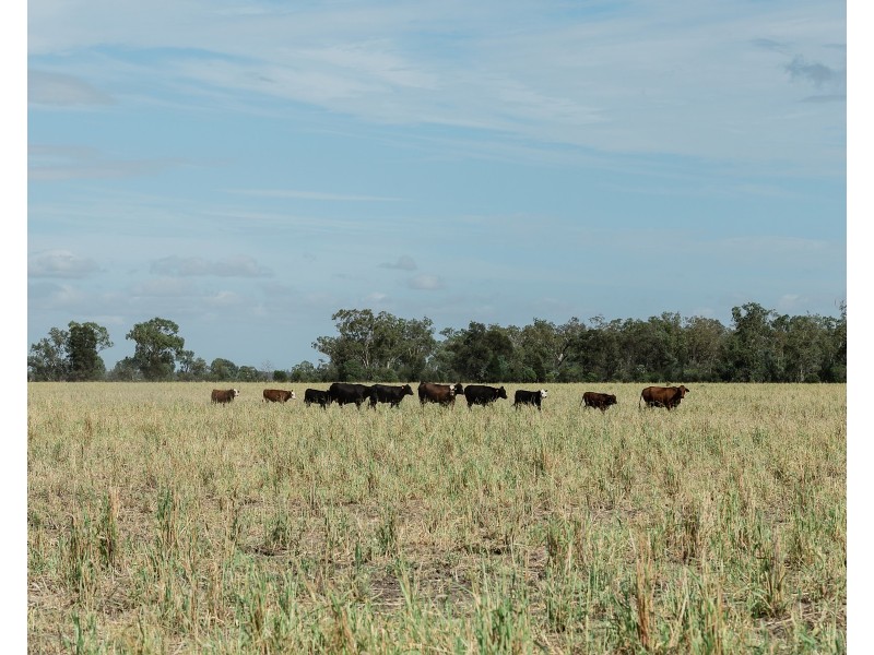 1 Minnell, Goondiwindi QLD 4390