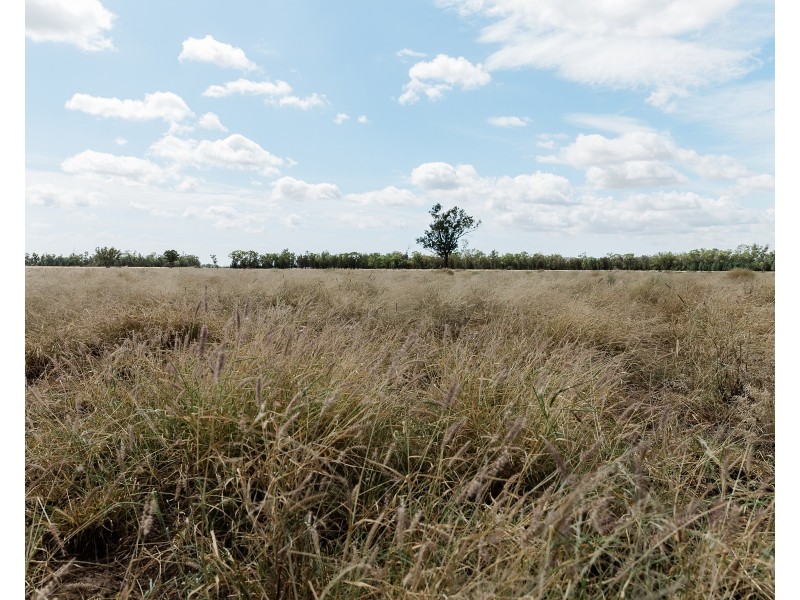 1 Minnell, Goondiwindi QLD 4390