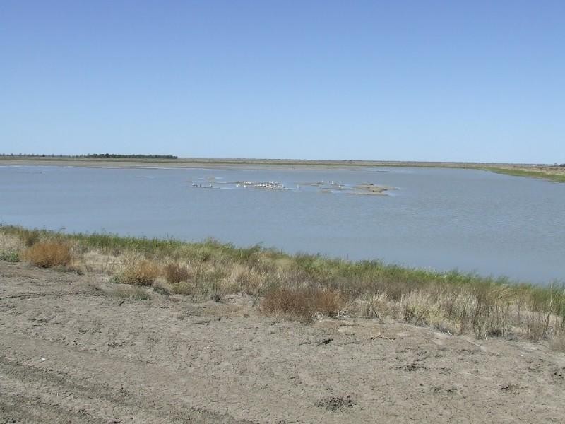 Goondiwindi QLD 4390