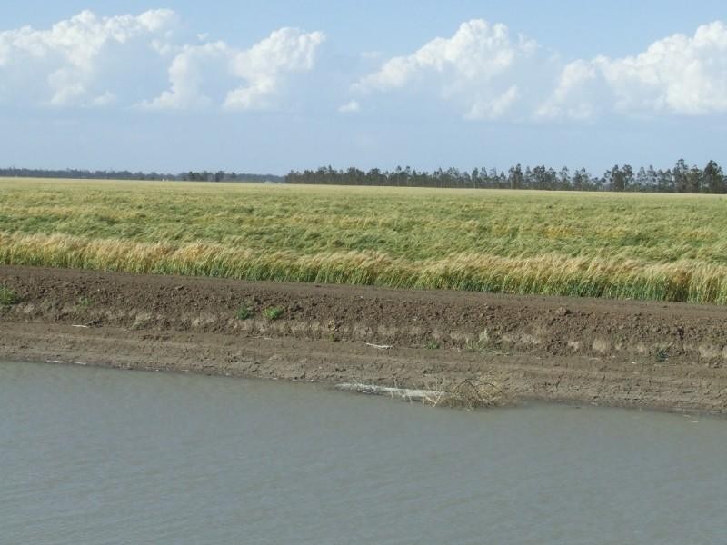 Goondiwindi QLD 4390