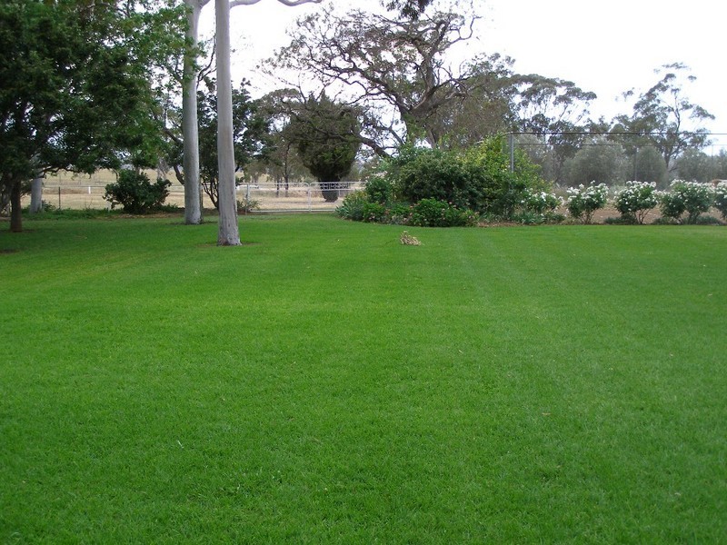 Graman NSW 2360