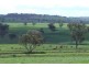 Graman NSW 2360