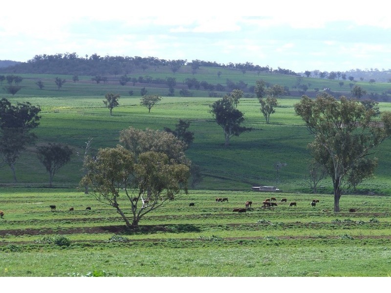 Graman NSW 2360