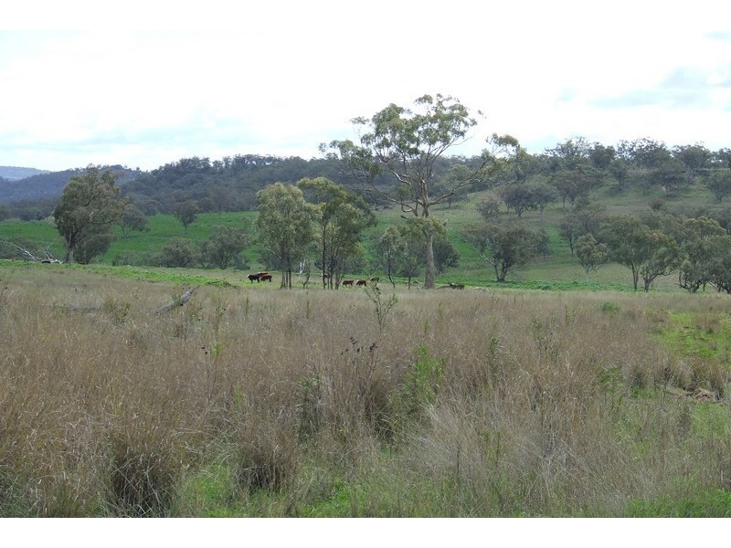 Graman NSW 2360
