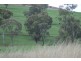 Graman NSW 2360