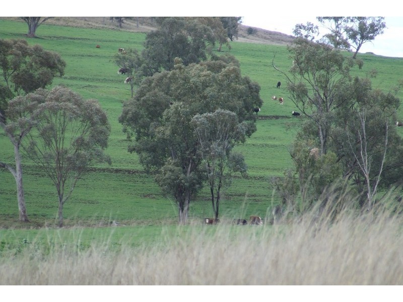 Graman NSW 2360