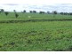 Graman NSW 2360