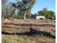 33646 Newell Highway, Boggabilla NSW 2409