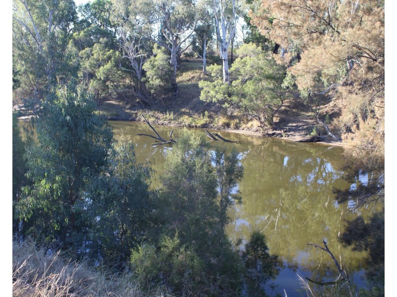 33646 Newell Highway, Boggabilla NSW 2409