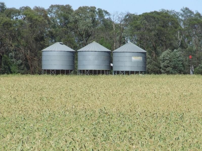 Goondiwindi QLD 4390