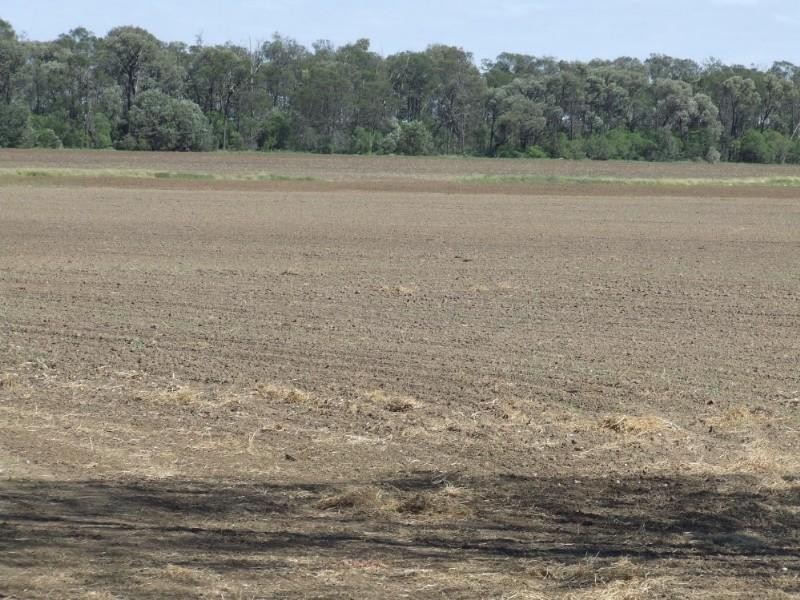 Goondiwindi QLD 4390