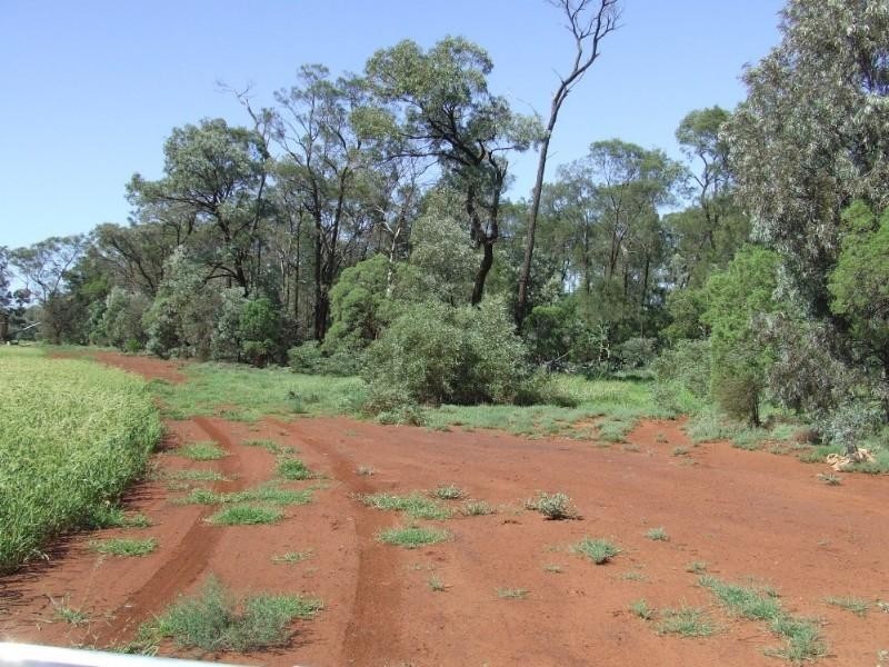 Goondiwindi QLD 4390