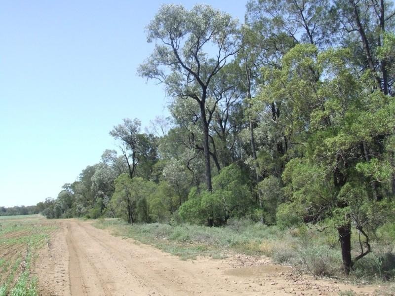 Goondiwindi QLD 4390