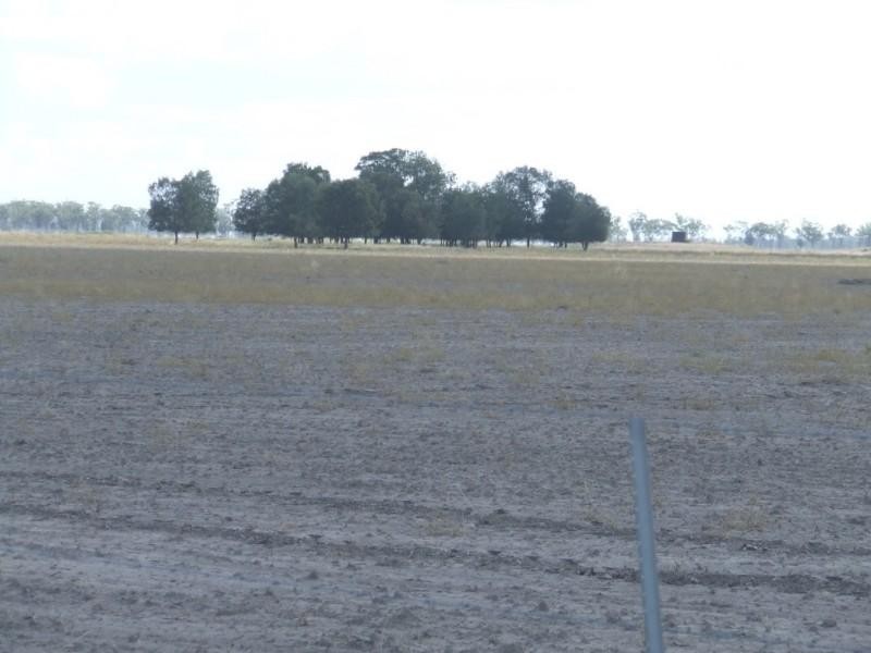 Goondiwindi QLD 4390