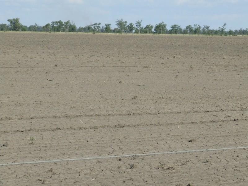 Goondiwindi QLD 4390